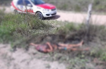 Corpo de homem decapitado é encontrado em terreno, no Agreste