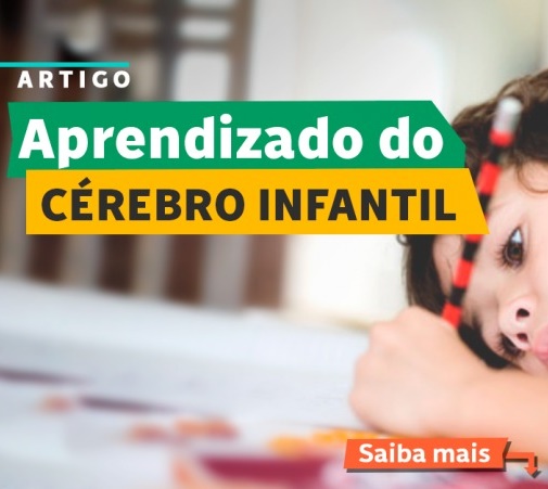 Como o cérebro aprende?