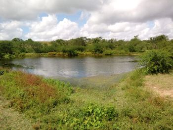 Com pés e mãos amarrados, corpo de homem é encontrado submerso em açude