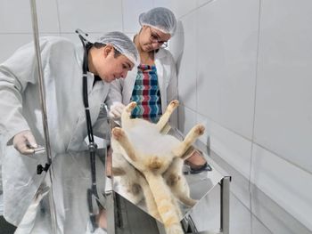 Castração de animal ganha apoio popular e prefeito vai às comunidades