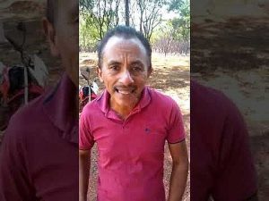 Meme da internet: Caneta Azul, Azul Caneta faz sucesso na internet, veja o vídeo