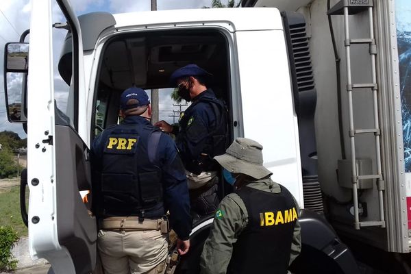 PRF em Alagoas prende cinco pessoas durante fiscalizações nas BR’s 101 e 423