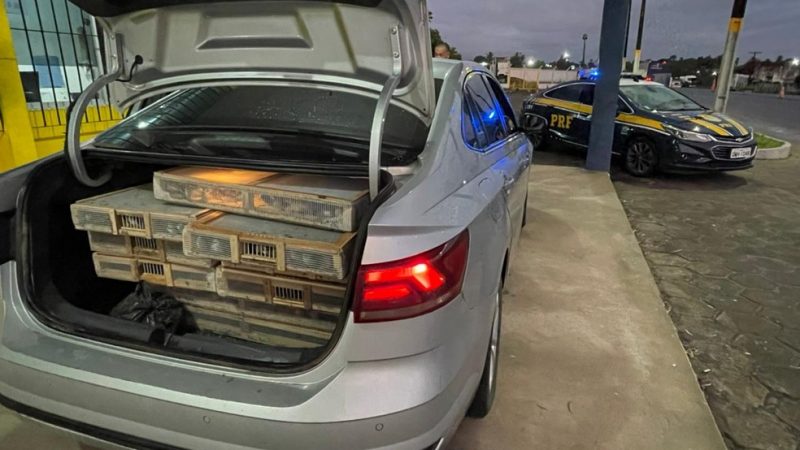 Homem é preso pela PRF por transportar 550 pássaros silvestres em Alagoas