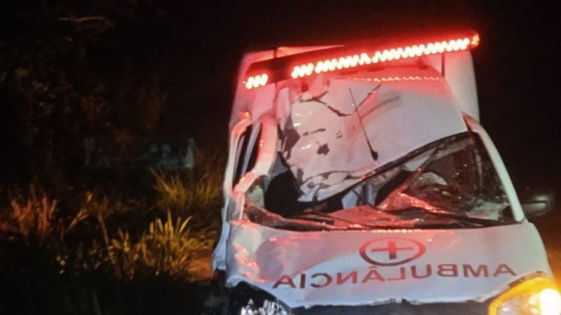 Ambulância bate em dois cavalos e deixa feridos em rodovia de Paulo Jacinto, AL