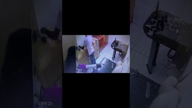 Justiça decreta prisão preventiva de funcionário suspeito de sufocar e matar cachorro em Maceió