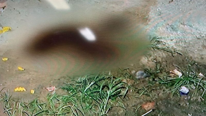 Em Pilar, menino saiu para comprar salgados em mercadinho quando foi atingido por bala perdida na cabeça