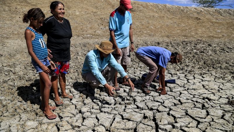 Seca em Alagoas: estiagem deixa mais de 40 cidades em situação de emergência
