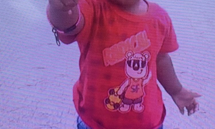 Ministério Público e Polícia Civil investigam desaparecimento de criança de dois anos
