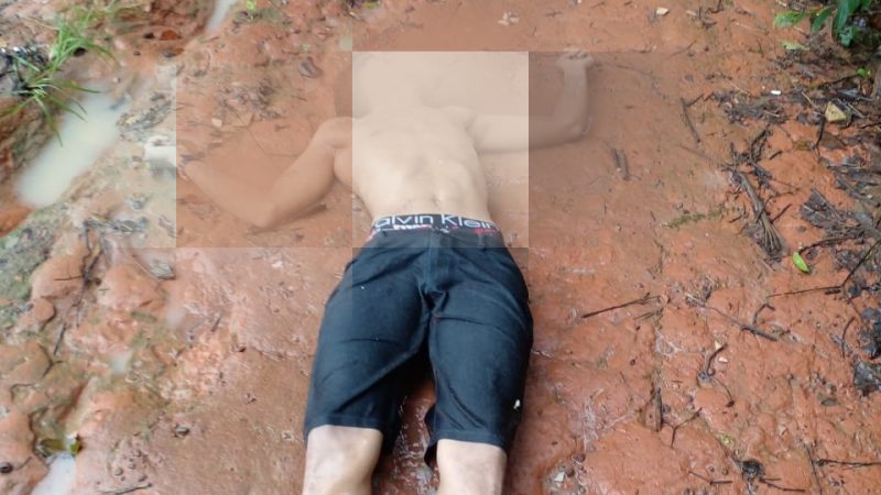 Jovens mortos a tiros na Santa Amélia são identificados