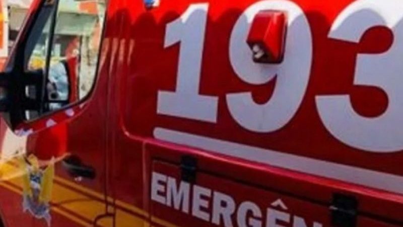 Uma pessoa morre e duas ficam feridas em acidente com caminhão na BR-316