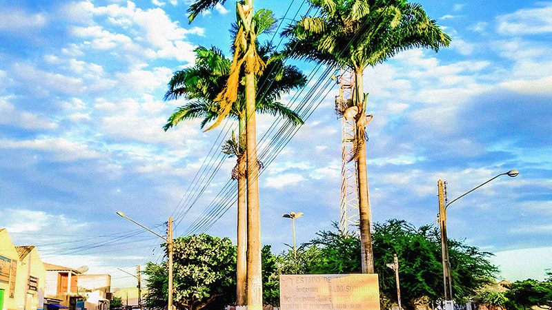Mulher leva soco do filho e desmaia após cair e bater a cabeça no chão em Campo Grande