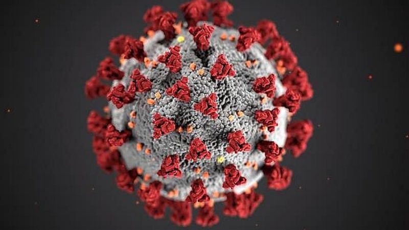 Bebê de 10 meses e três pessoas sem comorbidades morrem por COVID-19 em Alagoas