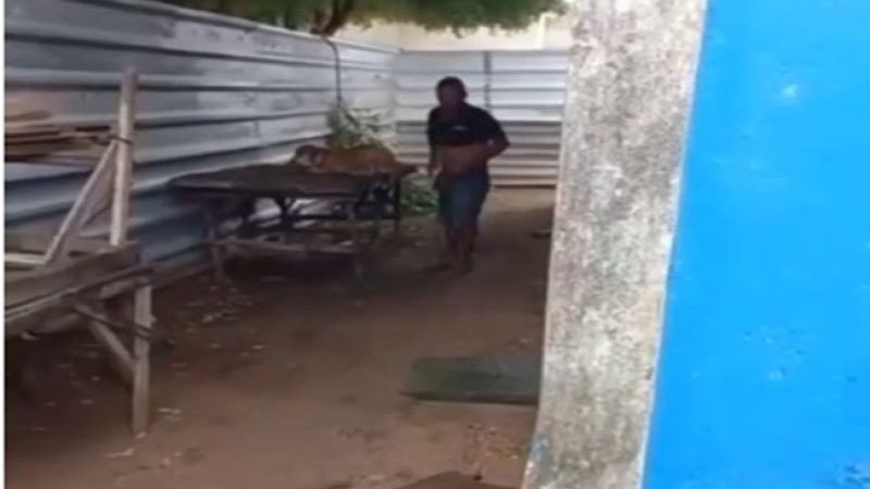 Homem é flagrado praticando sexo com cadela no município de Pão de Açúcar