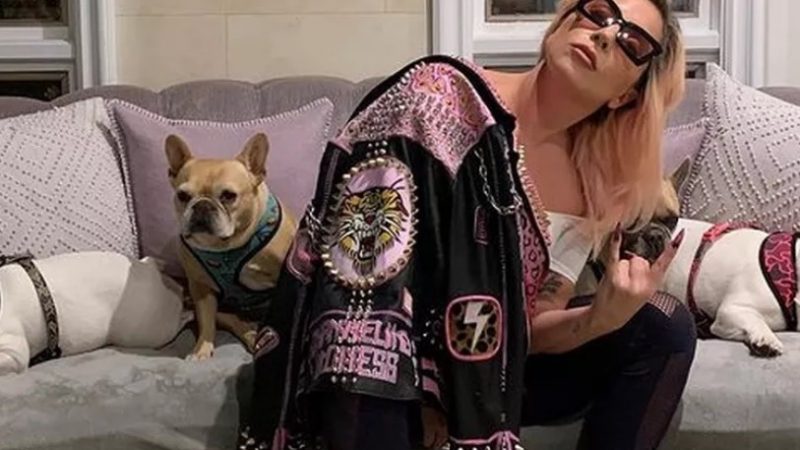 Sequestrador de cães de Lady Gaga pega 4 anos de prisão nos EUA