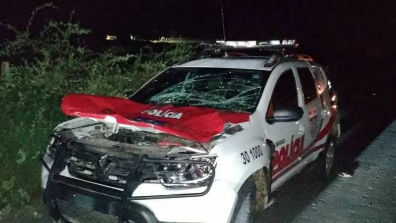 Policiais são surpreendidos por animal solto na pista e sofrem colisão, no Sertão de AL
