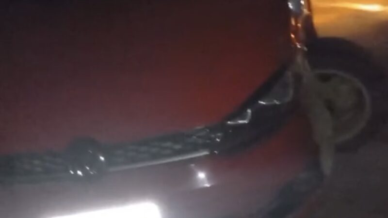 Colisão Entre dois Carros Próximo à UNEAL