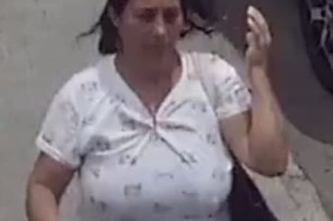 Imagens mostram suspeita de furto de bolsa em Palmeira dos Índios