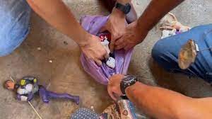 Mãe e filho são detidos com drogas escondidas em sacola de brinquedos após denúncias em Goiás