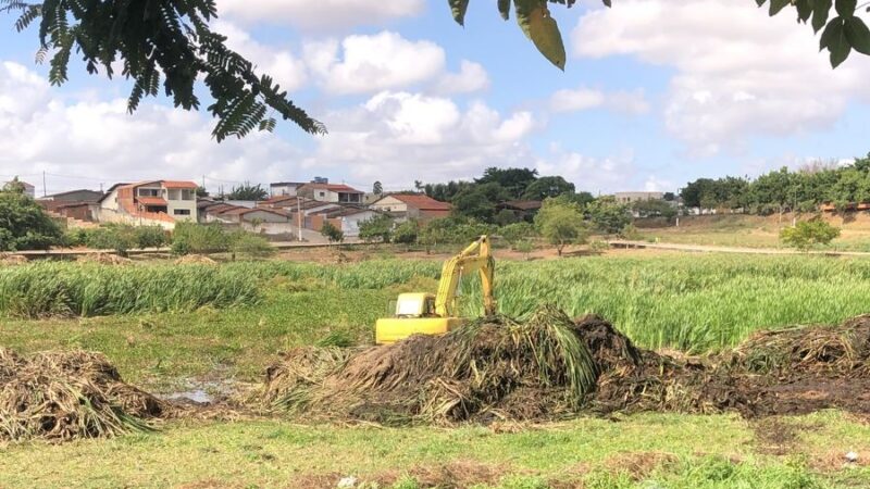 Iniciativa de limpeza na lagoa Juca Sampaio resgata beleza natural em Palmeira dos Índios