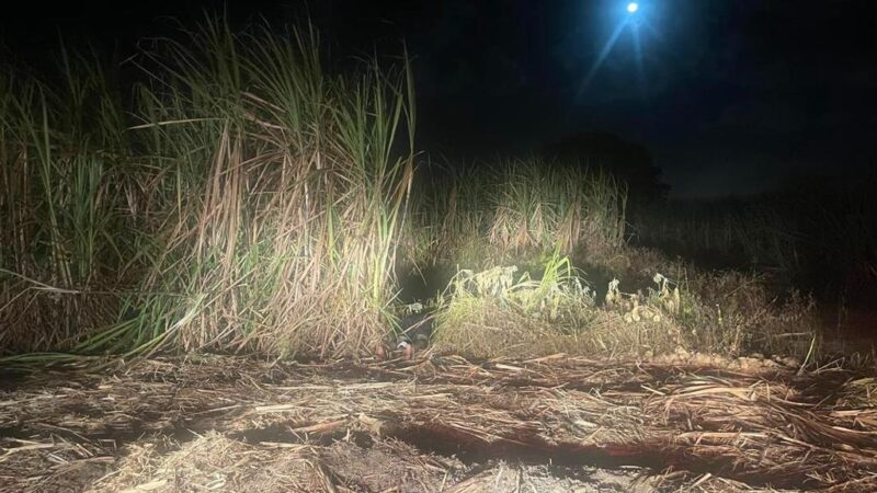 Homem teria matado inquilino e depois lavado a casa, diz PC