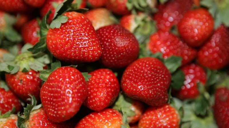 IPCA 2023: os 10 itens com maior alta e maior queda de preços no Brasil