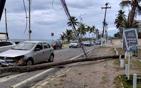 Queda de coqueiro na orla de Cruz das Almas atinge veículo e interrompe trânsito