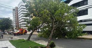 1ª Conferência de interesse metropolitano em Maceió impulsiona o debate sobre desenvolvimento urbano integrado na região metropolitana