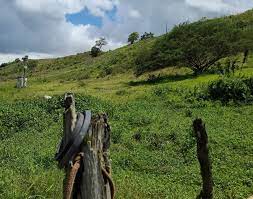Proprietário de fazenda autuado por furto de energia que abasteceria mais de 120 residências