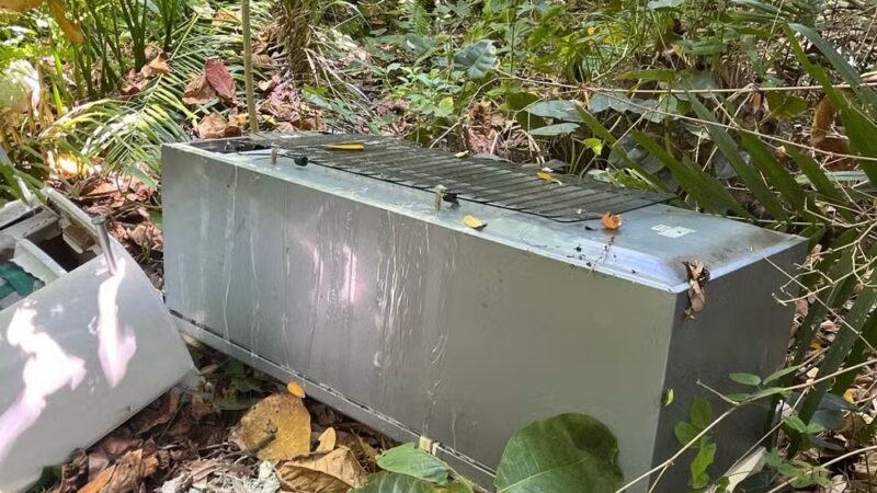 Genro suspeito de homicídio é preso após mulher ser encontrada morta em geladeira em Maceió