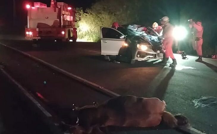 Padre Sofre Ferimentos em Colisão com Cavalo na AL-130, em Santana do Ipanema