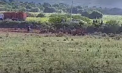 Acidente fatal: Motorista morre após tombamento de caminhão carregado de telhas na Serra das Pias, em Palmeira dos Índios