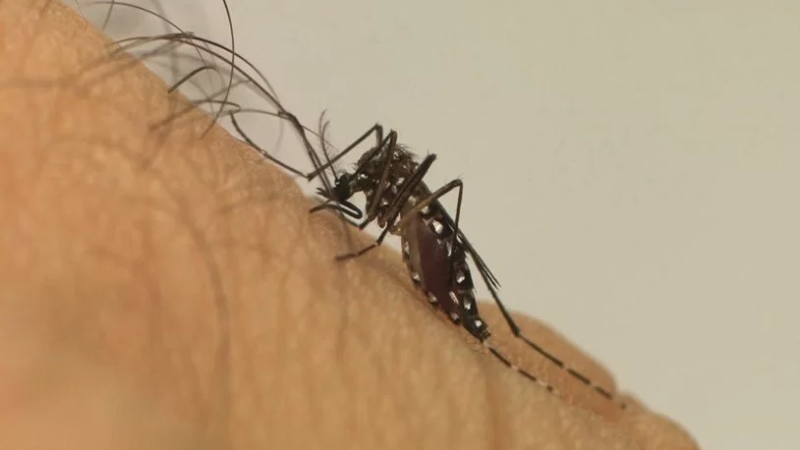 Brasil registra mais de 2 milhões de casos de dengue em 2024