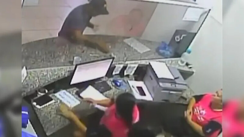 Homem arremessa escorpiões vivos em funcionárias de unidade de saúde