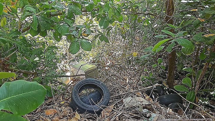 Corpo em geladeira: Justiça marca primeira audiência do caso da garçonete morta por genro em Maceió