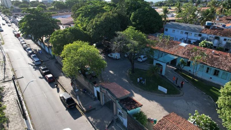 Alagoas não sabe onde tratar seus pacientes psiquiátricos