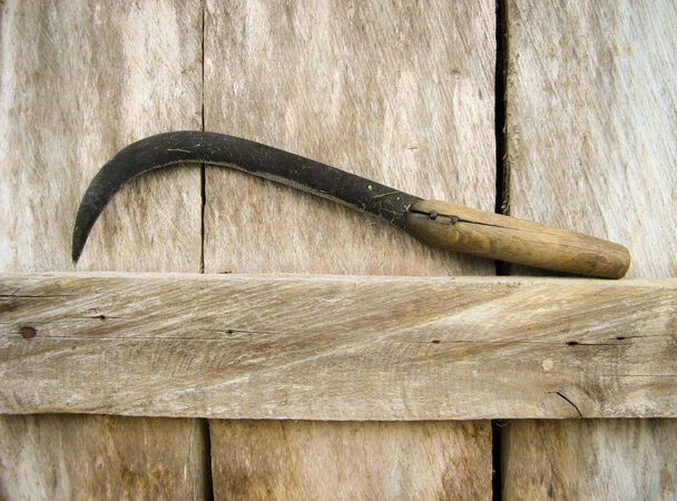 Vizinho alerta autoridades após flagrar invasão com uso de foice