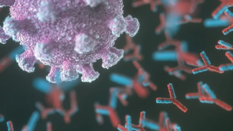 Mayaro: há risco de o vírus se disseminar em outras regiões do Brasil?