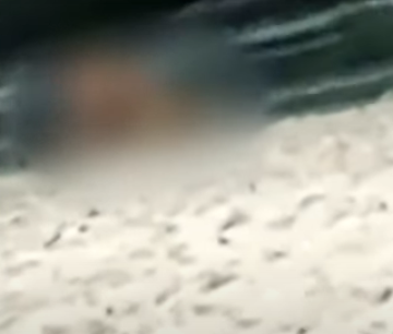 Homem flagrado fazendo sexo na areia da praia de Ponta Verde é policial judiciário do Ceará, diz PC