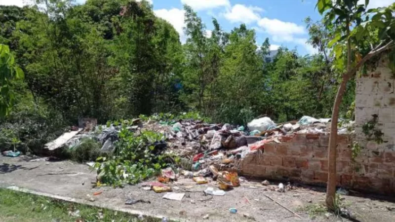 Alurb atua em mais de 150 denúncias de terrenos abandonados em Maceió