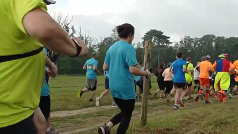 Mulher é atacada com mordida no pescoço por lobos de zoológico