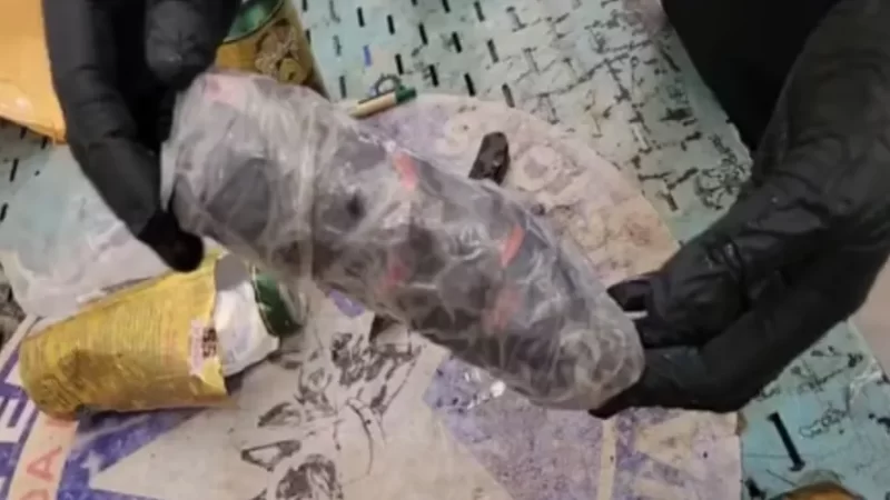 Receita encontra maconha em latas de cerveja enviadas via Correios