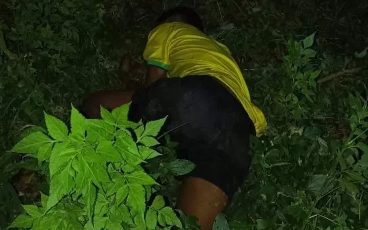 Jovem é perseguido e assassinado com tiro na cabeça em sítio