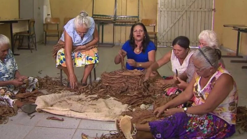 Patrimônios de Arapiraca são tema de oficina de preservação cultural