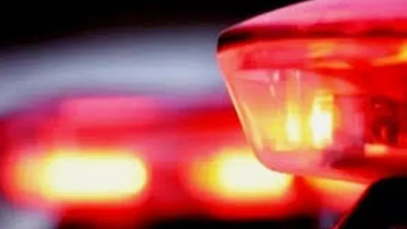 Preso homem acusado de matar mulher com pedradas na cabeça