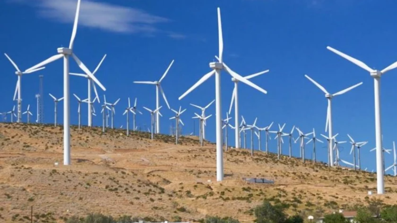 Parque Eólico gera polêmica em Alagoas