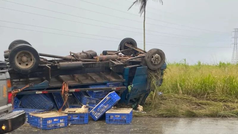 Caminhão que transportava carga viva capota na AL 110, em Arapiraca