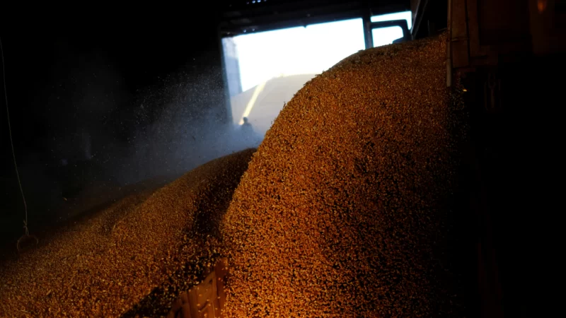 Governo lança nesta quarta-feira Plano Safra 2024/25