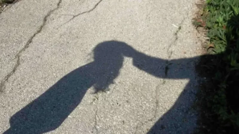 Filho de deputado federal de SC é preso por estupro de vulnerável