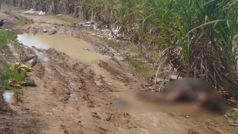 Mulher é encontrada morta em área de mata na Cachoeira do Meirim em Maceió