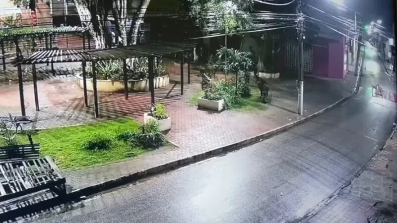 Suspeito de matar namorado a facadas em Palmeira dos Índios é indiciado por homicídio